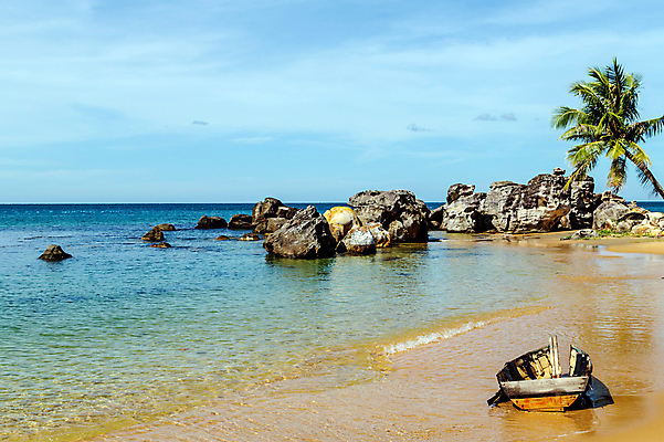 포토 JPG 해외이미지 나무 식물 섬 백그라운드 패턴 과일 프레임 숙이기 손바닥 풍경 사람없음 목재 장식 초록색 야자수 정원 견과류 성장 껍질 흰색 나뭇가지 부채 보트 유기농 카누 카약 코코넛 내추럴 난쟁이 마이애미 아열대 이국적 파라다이스 플로리다 해외포토 손 웰빙 컬러 포즈 무늬 배_교통 재료 미국 수상스포츠 파일형식 이미지허브