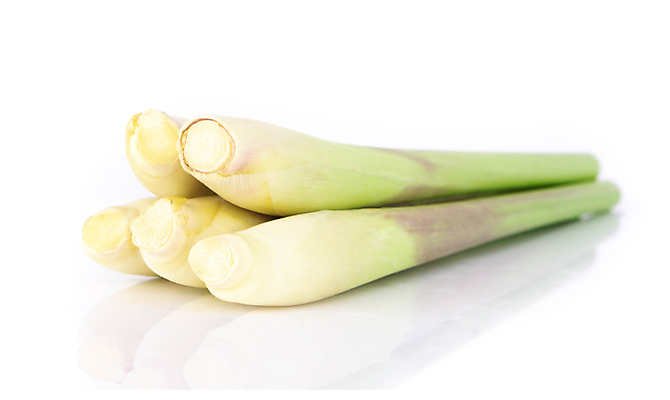 포토 JPG 해외이미지 식물 전통 아시아 음식 줄기 백그라운드 채소 재료 태국 자연 건강 요리 동양인 사람없음 초록색 흰색 신선 양념 맛 먹기 레몬 허브 향신료 오브젝트 유기농 매움 날것 아로마 향 내추럴 고립 숙성 해외포토 웰빙 나라 컬러 컨셉 과일 모션 인종 생태계 향미료 파일형식 이미지허브