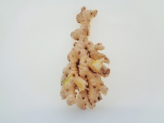 포토 JPG 해외이미지 나무 식물 공원 꽃잎 꽃 음식 백그라운드 잎 꽃무늬 자연 건강 사람없음 야외 장식 빨간색 초록색 컬러풀 정원 벚꽃 신선 소나무 닫기 약초 유기농 뿌리 생강 원뿔 내추럴 이국적 해외포토 도형 웰빙 공공시설 컬러 무늬 채소 모션 풀_식물 생태계 파일형식 이미지허브