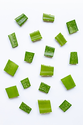 포토 JPG 해외이미지 스튜디오촬영 실내 사람없음 흰배경 알로에 해외포토 식물 백그라운드 내부 흰색 파일형식 이미지허브