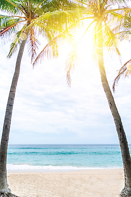 포토 JPG 해외이미지 주간 하늘 해변 사람없음 야외 여름 야자수 햇빛 여름풍경 해외포토 자연요소 나무 계절 바다 풍경 태양 파일형식 여름_계절 이미지허브