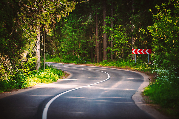 포토 JPG 해외이미지 나무 식물 도로 길 잎 곡선 교통시설 자동차 자연 풍경 사람없음 야외 목재 초록색 여름 빛 햇빛 태양 노란색 침묵 봄 광선 숲 오솔길 아스팔트 사인 장면 내추럴 방법 자동 해외포토 자연요소 계절 선 육상교통 컬러 교통 재료 소리 시설 생태계 파일형식 이미지허브