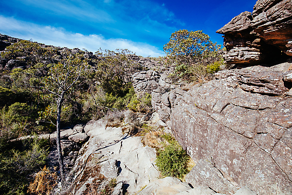 포토 JPG 해외이미지 나무 식물 길 여행 자연 하늘 산 건강 풍경 사람없음 쌓기 골짜기 산책 하이킹 탐험 가을 시골 균열 호주 언덕 산등성이 암초 사암 그랜드캐니언 지질학 해외포토 계절 교육 모션 레저 휴식 미국 돌_바위 오세아니아 생태계 파일형식 이미지허브