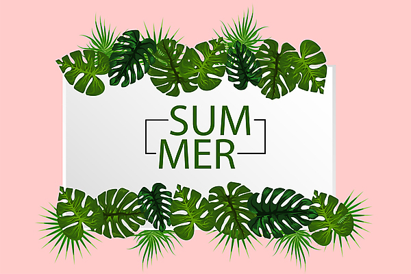 포토 JPG 해외이미지 나무 식물 디자인 배너 여행 백그라운드 잎 꽃무늬 패턴 일러스트 자연 벽지 추상 휴가 손바닥 미술 사람없음 장식 초록색 여름 컬러풀 유행 세일 정원 봄 수확 흰색 나뭇가지 직물 인사 숲 질감 하와이 캘리포니아 내추럴 고립 엘리먼트 이국적 파라다이스 해외일러스트 손 계절 꽃 컬러 무늬 농업 문화예술 미국 예절 생태계 파일형식 이미지허브