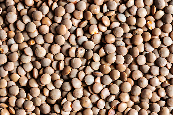 포토 JPG 해외이미지 식물 음식 백그라운드 농업 채소 재료 건조 건강 씨앗 동양인 사람없음 갈색 흰색 신장 낟알 유기농 질감 날것 내추럴 단백질 생식 채식주의자 비건 해외포토 웰빙 산업 컬러 인종 비뇨기관 채식 영양소 파일형식 이미지허브