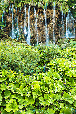 포토 JPG 해외이미지 나무 식물 공원 유럽 호수 여행 백그라운드 자연 산 풍경 사람없음 야외 초록색 물 여름 파란색 강 여행객 봄 폭포 가을 연못 개울 숲 크로아티아 내추럴 생태학 전국 해외포토 자연요소 계절 공공시설 교육 나라 컬러 사람 생태계 파일형식 이미지허브