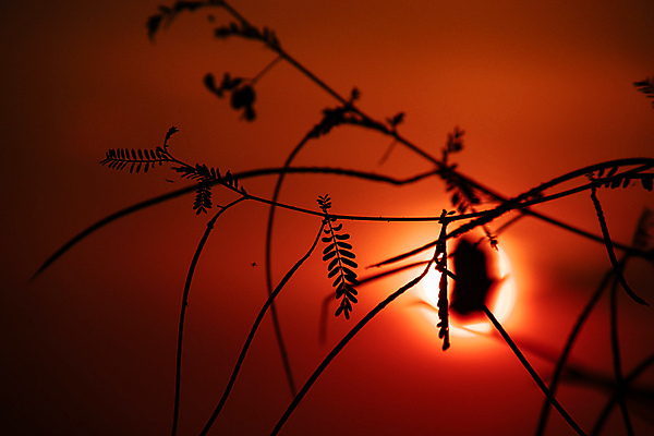포토 JPG 해외이미지 디자인 계절 백그라운드 날씨 그림자 사람없음 야외 빨간색 햇빛 환경 황혼 신선 황무지 분위기 저녁 마법 천국 내추럴 생태학 수평선 카피스페이스 미니멀 해외포토 교육 컬러 컨셉 태양 일몰 공백 야간 파일형식 이미지허브