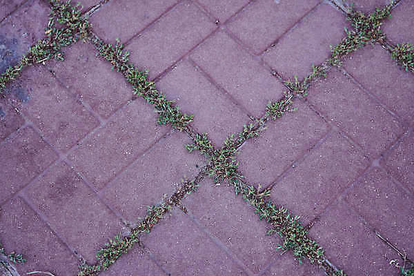 포토 JPG 해외이미지 계절 벽 패턴 자연 표면 날씨 사람없음 세로 물 반사 냉동 얼음 추위 가을 흰색 거친 미끄러짐 위험 12월 크리스탈 타일 묘사 질감 서리 층 노려봄 고체 눈내림 해외포토 자연요소 컬러 컨셉 무늬 모션 눈_날씨 표정 날짜 광석 생태계 파일형식 이미지허브