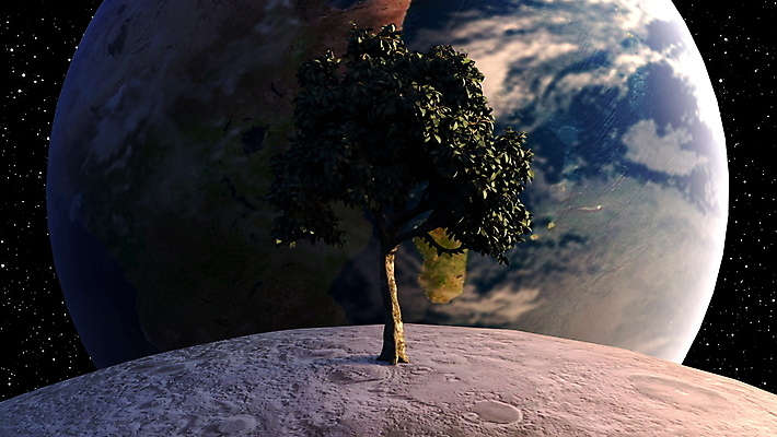 포토 JPG 해외이미지 나무 별 지구 백그라운드 잎 모션 자연 하늘 표면 추상 미래 사람없음 초록색 파란색 컴퓨터 세계 글로벌 지구본 3D 우주 일출 일몰 행성 인공위성 달 분위기 야간 대륙 코스모스 은하계 천문학 궤도 구성 발생 지리 해외포토 자연요소 식물 교육 꽃 컬러 컨셉 무늬 통신 전자제품 노을 디지털합성 생태계 파일형식 이미지허브