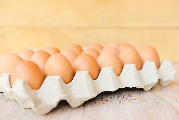 포토 JPG 해외이미지 동물 음식 백그라운드 농업 재료 자연 탁자 조류 부활절 건강 요리 사람없음 목재 가로 농장 갈색 계란 치킨 껍질 흰색 시골 신선 그룹 볏짚 아침식사 컨테이너 유기농 날것 흙더미 건강식 수탉 내추럴 고립 단백질 밭일 생식 암탉 해외포토 나무 웰빙 기념일 산업 컬러 가구 알 식사 흙 닭 짚 암컷 수컷 생태계 닭고기요리 영양소 파일형식 더미 이미지허브