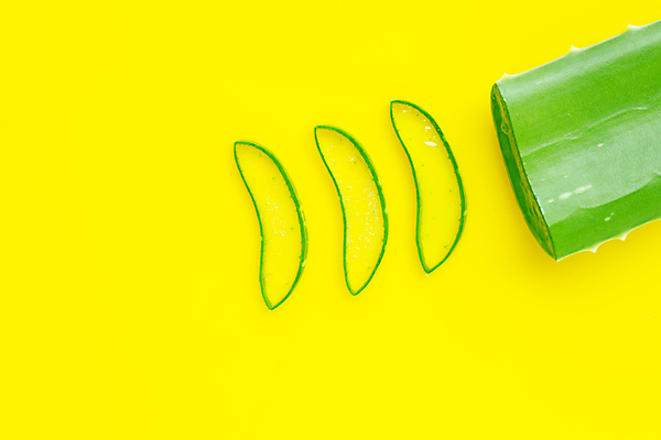 포토 JPG 해외이미지 스튜디오촬영 단면 실내 사람없음 노란배경 알로에 해외포토 식물 백그라운드 내부 노란색 파일형식 이미지허브