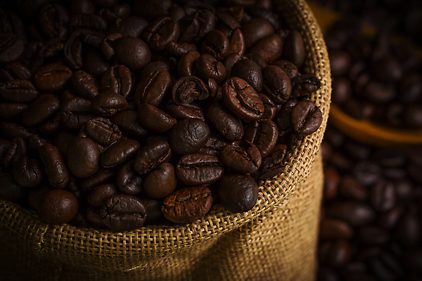 포토 JPG 해외이미지 커피 콩 씨앗 사람없음 갈색 어둠 신선 굽기 아로마 자루 카페인 해외포토 식물 음료 컬러 곡류 구이 파일형식 이미지허브