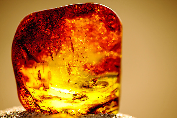 포토 JPG 해외이미지 자연 사람없음 빛 주황색 투명 보석 화석 앰버 해외포토 컬러 광석 생태계 파일형식 이미지허브