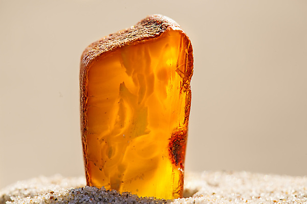 포토 JPG 해외이미지 자연 사람없음 빛 주황색 투명 보석 화석 앰버 해외포토 컬러 광석 생태계 파일형식 이미지허브