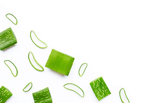 포토 JPG 해외이미지 스튜디오촬영 단면 실내 사람없음 하이앵글 흰배경 알로에 해외포토 식물 뷰포인트 백그라운드 내부 흰색 파일형식 이미지허브