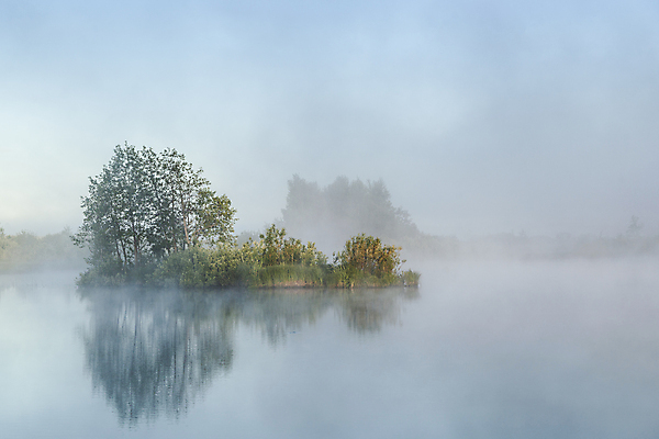포토 JPG 해외이미지 나무 호수 자연 하늘 아침 날씨 풍경 사람없음 목재 물 여름 빛 강 반사 일출 일몰 새벽 거울 안개 흰색 연못 황무지 숲 속도 뿌연 해외포토 주간 자연요소 식물 계절 컬러 재료 노을 생태계 파일형식 이미지허브