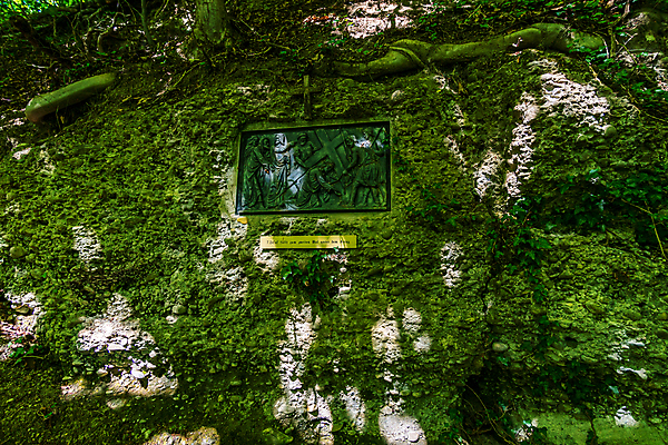 포토 JPG 해외이미지 주간 나무 구름 응시 계절 자연 날씨 휴가 파노라마 사람없음 야외 초록색 여름 태양 교회 환경 페인트 봄 산책 하이킹 시골 신선 예수 동굴 숲 오솔길 천국 내추럴 방법 밭일 생태학 신앙심 해외포토 자연요소 식물 시선 교육 길 컬러 종교건축 레저 휴식 촬영기법 건물 신_종교 생태계 파일형식 이미지허브