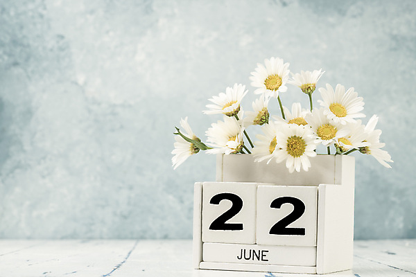 포토 JPG 해외이미지 식물 템플릿 계절 꽃 꽃다발 백그라운드 컨셉 탁자 사람없음 목재 숫자 노란색 다이어리 블록 수확 달력 흰색 시간 날짜 계획 6월 연도 큐브 오브젝트 질감 복고 데이지 내추럴 월 옛날 오늘 조언 카피스페이스 해외포토 나무 문자 컬러 가구 농업 재료 사무용품 공백 파일형식 이미지허브