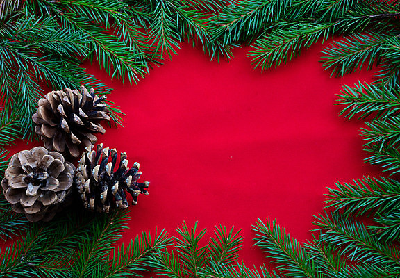 포토 JPG 해외이미지 나무 전통 디자인 배너 계절 열매 행복 백그라운드 컨셉 크리스마스 겨울 자연 벽지 추상 휴가 새로움 새해 아이디어 프레임 사람없음 장식 빨간색 초록색 유행 수확 흰색 나뭇가지 시골 인사 소나무 12월 연도 심볼 질감 원뿔 1월 고립 노엘 가문비나무 카피스페이스 미니멀 해외포토 도형 식물 기념일 감정 컬러 무늬 농업 공백 예절 날짜 생태계 파일형식 이미지허브