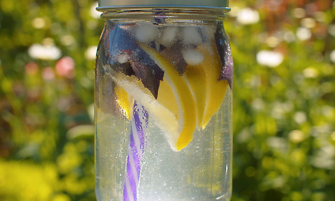 포토 JPG 해외이미지 라이프스타일 음료 백그라운드 과일 자연 유리 건강 사람없음 야외 물 정원 얼음 머그컵 추위 물방울 신선 닫기 맛 소프트포커스 시원함 레몬 레모네이드 상쾌 유기농 바질 밀짚 내추럴 핸드메이드 해외포토 자연요소 웰빙 감정 컨셉 모션 재질 촬영기법 생활 컵 짚 생태계 에이드 파일형식 이미지허브