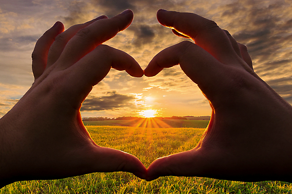 포토 JPG 해외이미지 주간 구름 손 하늘 풍경 초원 야외 신체부위 태양 일출 손하트 해외포토 자연요소 사람 손짓 노을 파일형식 이미지허브