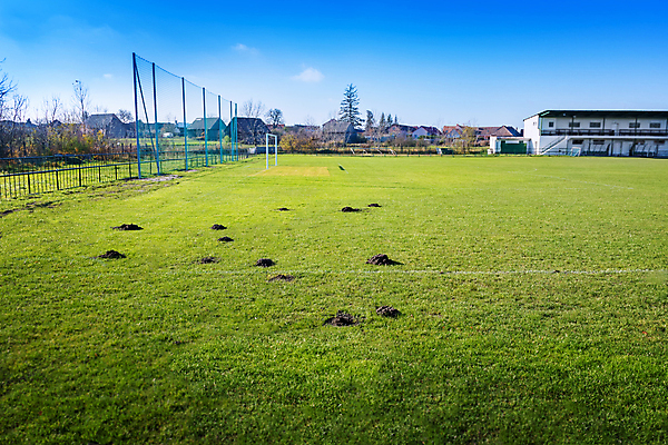포토 JPG 해외이미지 지구 스포츠 밭 표면 잔디 사람없음 야외 초록색 빛 햇빛 축구 흙 독약 언덕 준비 먼지 점토 살인 두더지 해외포토 식물 컬러 농업 태양 구기 범죄 파일형식 이미지허브