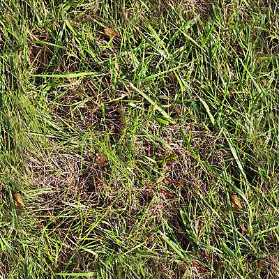 포토 JPG 해외이미지 식물 공원 백그라운드 잎 패턴 밭 골프 자연 표면 바닥 잔디 사람없음 야외 초록색 정원 봄 카펫 성장 신선 닫기 이슬 허브 질감 내추럴 땅바닥 법정 생태학 인공 그리너리 현실 해외포토 계절 공공시설 교육 컬러 무늬 농업 모션 구기 생태계 파일형식 트랜드컬러 이미지허브