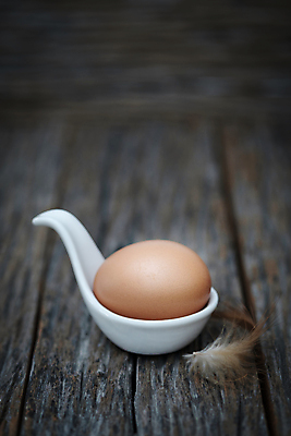 포토 JPG 해외이미지 디자인 음식 백그라운드 농업 재료 조류 부활절 오리 건조 건강 요리 사람없음 목재 농장 노란색 주방 계란 숟가락 식사 저녁식사 치킨 어둠 껍질 흰색 시골 신선 도자기 둥지 아침식사 먹기 깃털 에코 유기농 날것 노른자 내추럴 점심식사 깨짐 단백질 암탉 옛날 정물화 취급주의 해외포토 나무 동물 웰빙 기념일 산업 컬러 컨셉 모션 수저 경고 환경 알 닭 암컷 그림 닭고기요리 영양소 파일형식 이미지허브