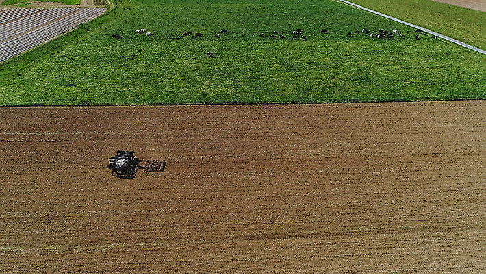 포토 JPG 해외이미지 식물 계절 산업 음식 백그라운드 밭 농업 자연 하늘 풍경 사람없음 야외 초록색 여름 파란색 농작물 농장 농경지 환경 금속 정원 힘 기계 흙 봄 장비 수확 성장 흰색 공구 시골 업무 작업 농부 땅 밀 원예 장면 트랙터 밭일 옛날 해외포토 직업 컬러 재질 곡류 취미 도구 농기계 생태계 특수차량 파일형식 이미지허브