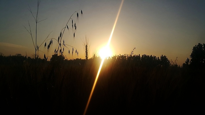 포토 JPG 해외이미지 구름 실루엣 여행 백그라운드 농업 오렌지 자연 아침 휴가 불꽃 풍경 사람없음 야외 가로 빨간색 초록색 여름 빛 햇빛 태양 농장 노란색 일출 맑음 어둠 황혼 일몰 새벽 저녁 장면 내추럴 수평선 해외포토 주간 자연요소 계절 산업 컬러 과일 불 날씨 촬영기법 노을 야간 생태계 파일형식 이미지허브