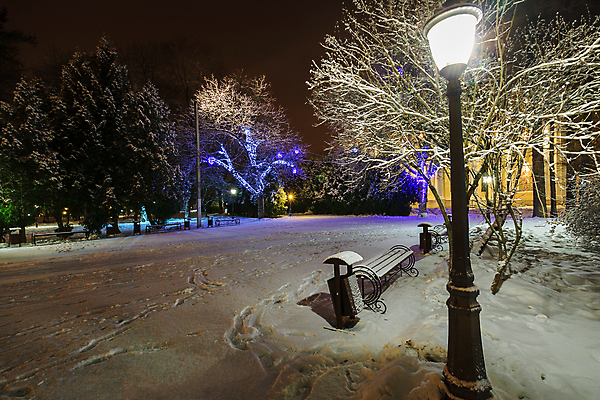 포토 JPG 해외이미지 나무 계절 공원 길 백그라운드 크리스마스 겨울 벤치 자연 새로움 풍경 사람없음 목재 장식 빨간색 파란색 빛 평화 얼음 추위 흰색 램프 야간 저녁 숲 12월 연도 서리 정사각형 장면 1월 2월 폭설 눈내림 해외포토 자연요소 도형 식물 공공시설 기념일 컬러 컨셉 의자 재료 조명 눈_날씨 날짜 자연재해 생태계 파일형식 이미지허브