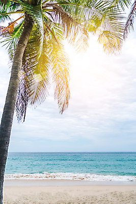 포토 JPG 해외이미지 주간 하늘 해변 사람없음 야외 여름 야자수 햇빛 여름풍경 해외포토 자연요소 나무 계절 바다 풍경 태양 파일형식 여름_계절 이미지허브