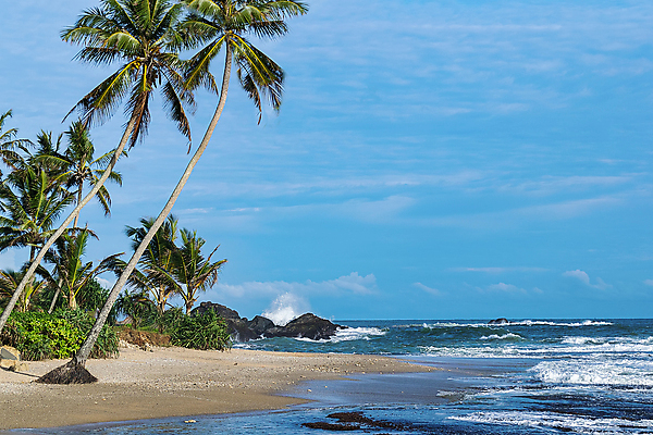 포토 JPG 해외이미지 나무 구름 아시아 모래 파도 바다 여행 자연 하늘 호텔 휴가 휴식 주택 손바닥 풍경 사람없음 야외 초록색 물 여름 파란색 모래사장 햇빛 태양 맑음 침묵 만 뜨거움 서핑 고급 휴양지 분무기 코코넛 내추럴 스리랑카 파라다이스 해외포토 자연요소 식물 손 계절 나라 컬러 컨셉 과일 숙소 날씨 건물 소리 장소 수상스포츠 생태계 파일형식 이미지허브