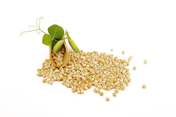 포토 JPG 해외이미지 식물 음식 백그라운드 농업 다이어트 채소 재료 건조 건강 병아리 요리 씨앗 사람없음 목재 갈색 노란색 식사 침묵 흰색 신선 닫기 상품 낟알 묘사 국자 유기농 완두콩 날것 흘림 흙더미 내추럴 고립 단백질 병아리콩 생식 채식주의자 비건 해외포토 나무 웰빙 산업 컬러 모션 조류 주방용품 콩 소리 흙 채식 영양소 파일형식 더미 이미지허브