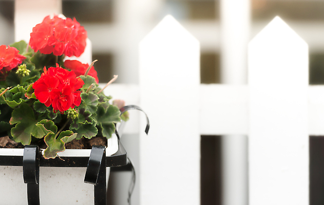 포토 JPG 해외이미지 식물 외관 공원 유럽 자연 휴식 주택 스웨덴 풍경 사람없음 야외 목재 초록색 여름 울타리 상자 평화 정원 침묵 흰색 스칸디나비아 해외포토 나무 계절 공공시설 나라 컬러 컨셉 재료 북유럽 건물 담장 소리 생태계 파일형식 이미지허브