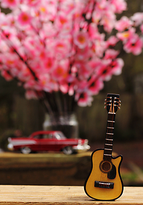 포토 JPG 해외이미지 나무 계절 공원 줄 음악 여행 백그라운드 노래 자동차 자연 미술 풍경 사람없음 빨간색 컬러풀 정원 소리 콘서트 수확 골동품 기구 기타 뜨거움 클래식 복고 멜로디 뮤지컬 옛날 해외포토 식물 공공시설 육상교통 컬러 컨셉 농업 현악기 문화예술 공연 생태계 파일형식 이미지허브