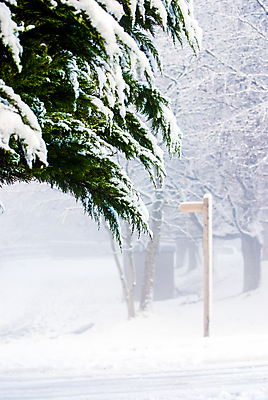 포토 JPG 해외이미지 나무 공원 도로 여행 백그라운드 겨울 곡선 교통시설 자연 하늘 풍경 사람없음 목재 태양 냉동 얼음 운전 추위 흰색 소나무 고속도로 숲 방법 눈내림 해외포토 자연요소 식물 계절 공공시설 길 선 컬러 교통 재료 모션 눈_날씨 시설 생태계 파일형식 이미지허브