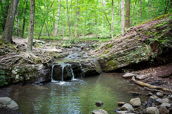 포토 JPG 해외이미지 나무 공원 여행 백그라운드 잎 자연 산 풍경 사람없음 야외 초록색 물 여름 강 햇빛 환경 폭포 흐름 가을 암석 바위 개울 숲 내추럴 삼림지대 카피스페이스 해외포토 자연요소 식물 계절 공공시설 컬러 컨셉 태양 공백 돌_바위 생태계 파일형식 이미지허브