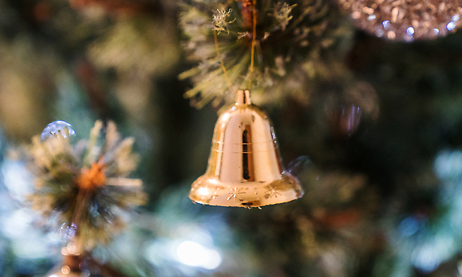 포토 JPG 해외이미지 나무 전통 디자인 계절 백그라운드 크리스마스 겨울 휴가 새로움 사람없음 장식 빨간색 초록색 빛 장식볼 흰색 나뭇가지 축하 소나무 황금 연도 심볼 오브젝트 전나무 엘리먼트 해외포토 식물 기념일 컬러 컨셉 파일형식 이미지허브