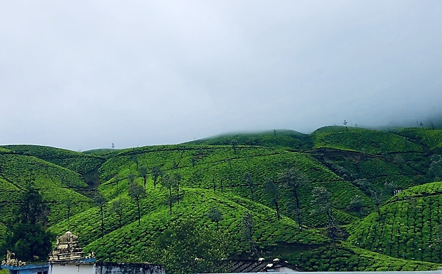 포토 JPG 해외이미지 나무 구름 공원 여행 자연 하늘 아침 산 파노라마 풍경 사람없음 야외 초록색 여름 파란색 관광지 마을 환경 계곡 안개 가을 시골 정상 숲 열대우림 언덕 내추럴 절정 그리너리 해외포토 주간 자연요소 식물 계절 공공시설 컬러 날씨 촬영기법 생태계 파일형식 트랜드컬러 이미지허브
