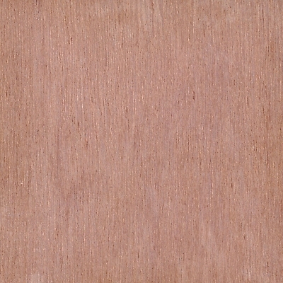 포토 JPG 해외이미지 백그라운드 패턴 자연 표면 사람없음 목재 장식 피부 질감 해외포토 나무 무늬 재료 신체부위 생태계 파일형식 이미지허브