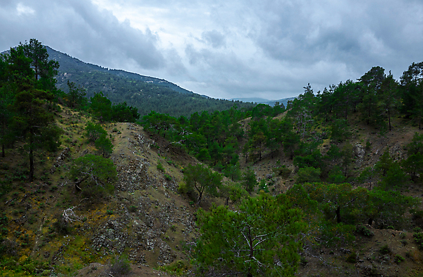 포토 JPG 해외이미지 나무 식물 공원 유럽 바다 여행 백그라운드 자연 하늘 아침 산 안테나 파노라마 풍경 경사 사람없음 목재 초록색 여름 파란색 환경 계곡 맑음 시골 정상 숲 열대우림 땅 언덕 속도 장면 멀리 산악지대 아마존 완벽 절정 해외포토 주간 계절 공공시설 나라 컬러 컨셉 재료 통신 날씨 촬영기법 생태계 파일형식 이미지허브