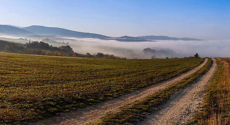 포토 JPG 해외이미지 나무 구름 응시 계절 십자가 낙엽 잎 자연 하늘 산 파노라마 풍경 사람없음 가로 초록색 햇빛 마을 일출 탑 새벽 활발 가을 시골 숲 땅 밀 언덕 지역 스카이라인 강렬 방법 삼림지대 슬로바키아 절정 해외포토 자연요소 식물 건축물 시선 유럽 컬러 컨셉 곡류 촬영기법 태양 노을 생태계 파일형식 이미지허브