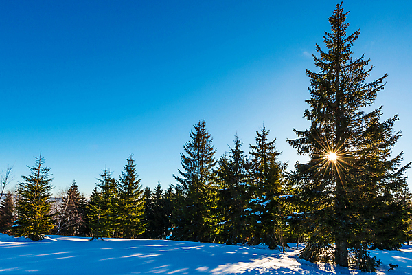 포토 JPG 해외이미지 주간 유럽 겨울 자연 하늘 사람없음 야외 맑음 추위 웅장함 겨울풍경 해외포토 자연요소 계절 나라 날씨 풍경 생태계 파일형식 이미지허브