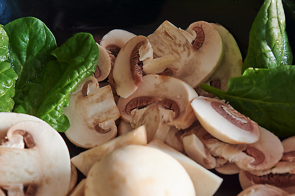 포토 JPG 해외이미지 식물 라이프스타일 계절 음식 백그라운드 다이어트 채소 재료 부분 건강 사람없음 주방 식사 버섯 흰색 신선 시장 맛 수프 자르기 먹기 향신료 흰배경 유기농 질감 내추럴 고립 곰팡이 그물버섯 단백질 식용 채식주의자 세련 비건 해외포토 웰빙 컬러 컨셉 모션 생활 채식 영양소 향미료 파일형식 이미지허브