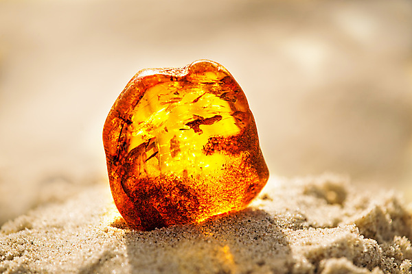 포토 JPG 해외이미지 자연 사람없음 빛 주황색 투명 보석 화석 앰버 해외포토 컬러 광석 생태계 파일형식 이미지허브