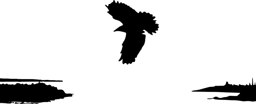 EPS 해외이미지 동물 구름 실루엣 야생동물 파도 바다 백그라운드 날개 일러스트 자연 갈매기 조류 하늘 휴가 풍경 야외 물 여름 파란색 빛 햇빛 태양 평화 일출 검은색 일몰 자유 흰색 그룹 깃털 부리 장면 무료 수평선 해외일러스트 자연요소 계절 컬러 컨셉 촬영기법 노을 생태계 파일형식 벡터 이미지허브