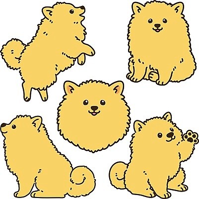 EPS 해외이미지 동물 캐릭터 손 디자인 행복 백그라운드 일러스트 포유류 미술 앉기 그래픽 반려동물 세트 갈색 흰색 개 강아지 만화 모피 수집 그림 꼬리 솜털 떨림 고립 기르기 복종 포메라니안 해외일러스트 일러캐릭터 감정 컬러 모션 문화예술 신체부위 돌봄 파일형식 벡터 이미지허브