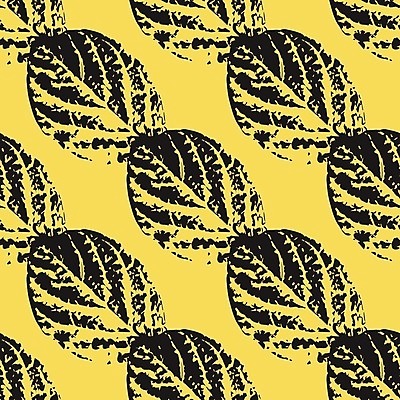 EPS 해외이미지 모양 나무 식물 디자인 계절 실루엣 종이 백그라운드 잎 패턴 일러스트 자연 추상 미술 그래픽 장식 여름 정원 수확 가을 직물 신선 숲 인쇄 질감 내추럴 바이오 생태학 엘리먼트 이국적 각인 해외일러스트 교육 무늬 농업 문화예술 촬영기법 생태계 파일형식 벡터 이미지허브