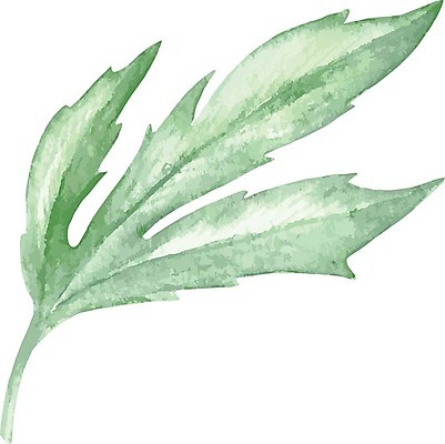 EPS 해외이미지 식물 잎 일러스트 붓터치 수채화 사람없음 그림 번짐 해외일러스트 파일형식 벡터 효과 이미지허브